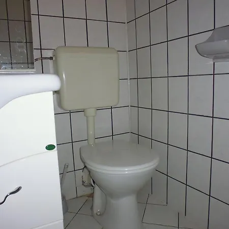Bastya Fogado * Zalaegerszeg